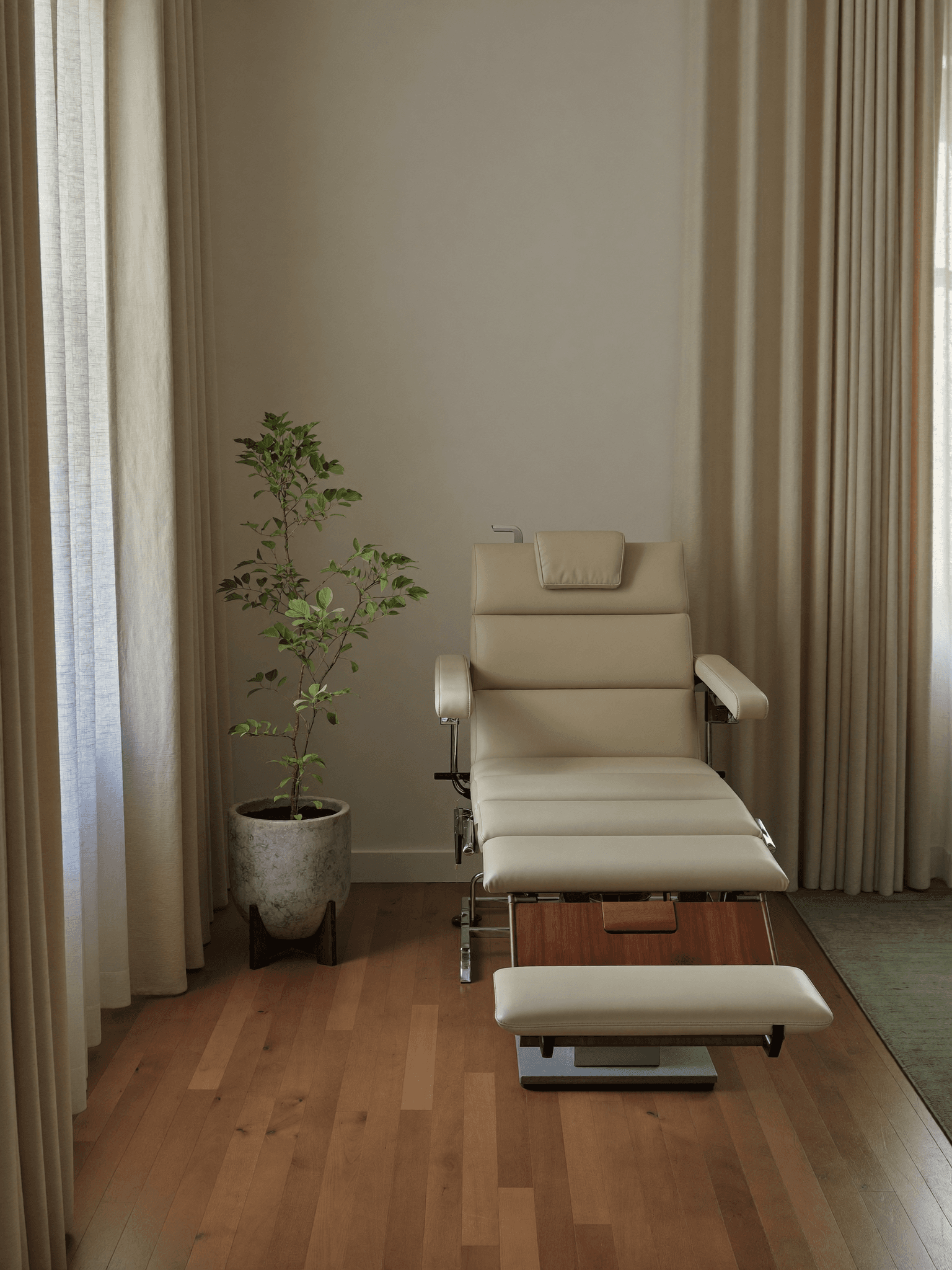 Empty treatment room interior with soft natural light, wood floor, and a sculptural plant